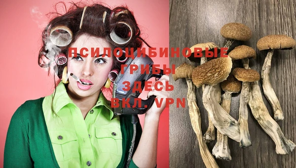 каннабис Арсеньев