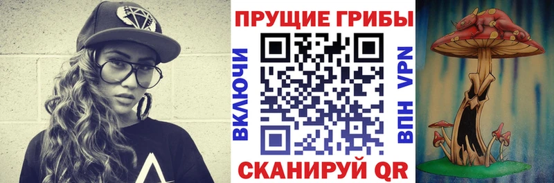 Галлюциногенные грибы Psilocybine cubensis  kraken как войти  Краснотурьинск 
